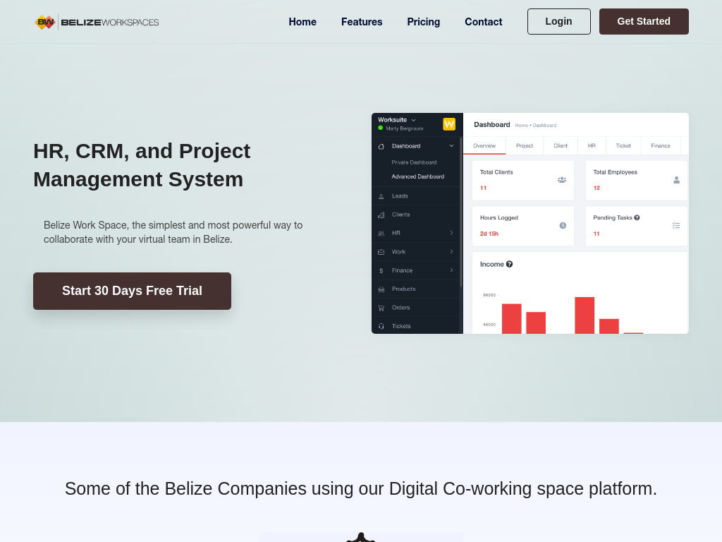 Belize Work Space website screenshot